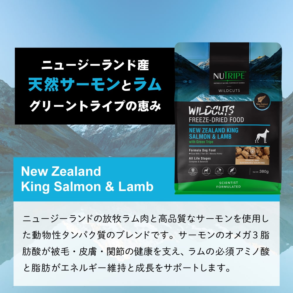 ���ѡ��˥塼�ȥ饤�ס��ե꡼���ɥ饤���磻��ɥ��åȡ����with���꡼��ȥ饤�� / ���󥰥����������with���꡼��ȥ饤�ס�15g/380g����ǯ���б���NUTRIPE