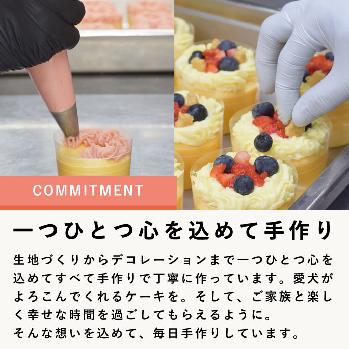 ������ �ϥåԡ����åץ����� 2��3�ĥ��åȡڥϥ���ɥ��࿩Ʋ��