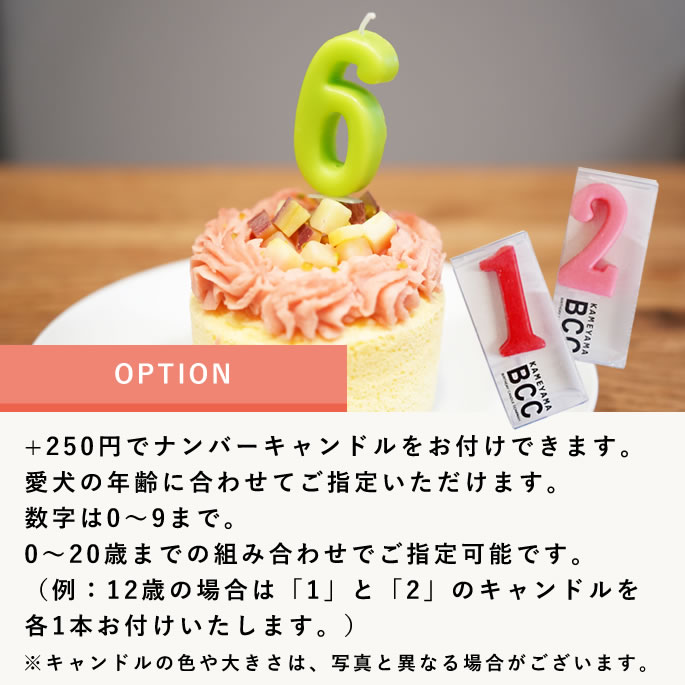 ������ �ϥåԡ����åץ����� 2��3�ĥ��åȡڥϥ���ɥ��࿩Ʋ��