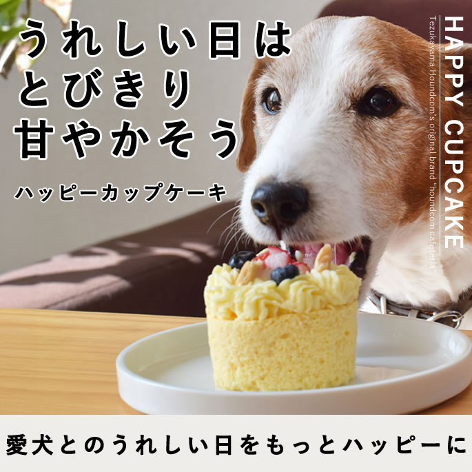 ������ �ϥåԡ����åץ����� 2��3�ĥ��åȡڥϥ���ɥ��࿩Ʋ��