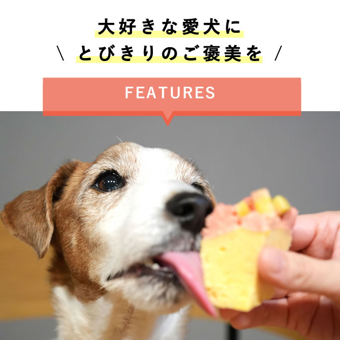 ������ �ϥåԡ����åץ����� 2��3�ĥ��åȡڥϥ���ɥ��࿩Ʋ��