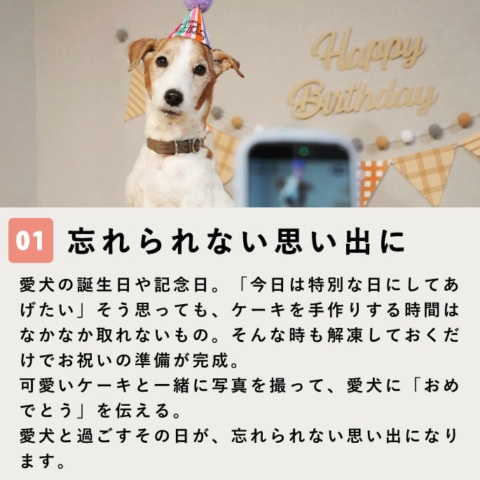 ������ �ϥåԡ����åץ����� 2��3�ĥ��åȡڥϥ���ɥ��࿩Ʋ��