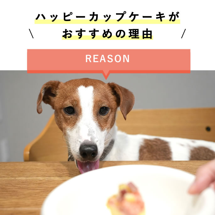 ������ �ϥåԡ����åץ����� 2��3�ĥ��åȡڥϥ���ɥ��࿩Ʋ��