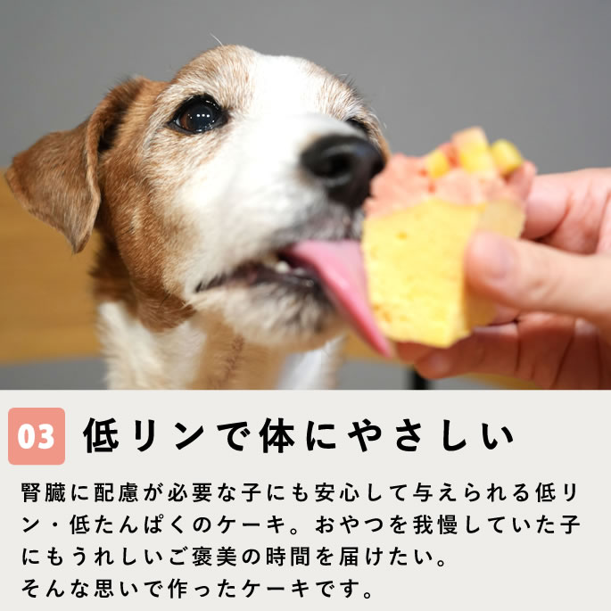 ������ �ϥåԡ����åץ����� 2��3�ĥ��åȡڥϥ���ɥ��࿩Ʋ��