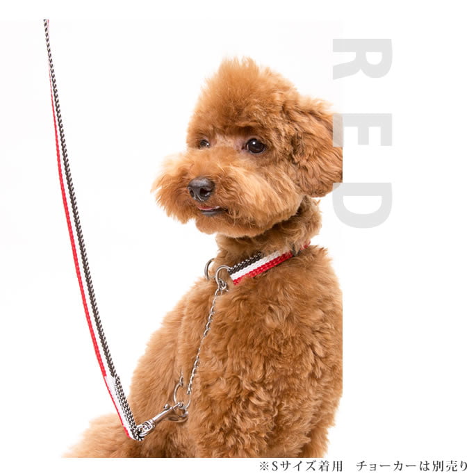 緿ѥ꡼ɡASHUȥꥳ롡꡼ɡL