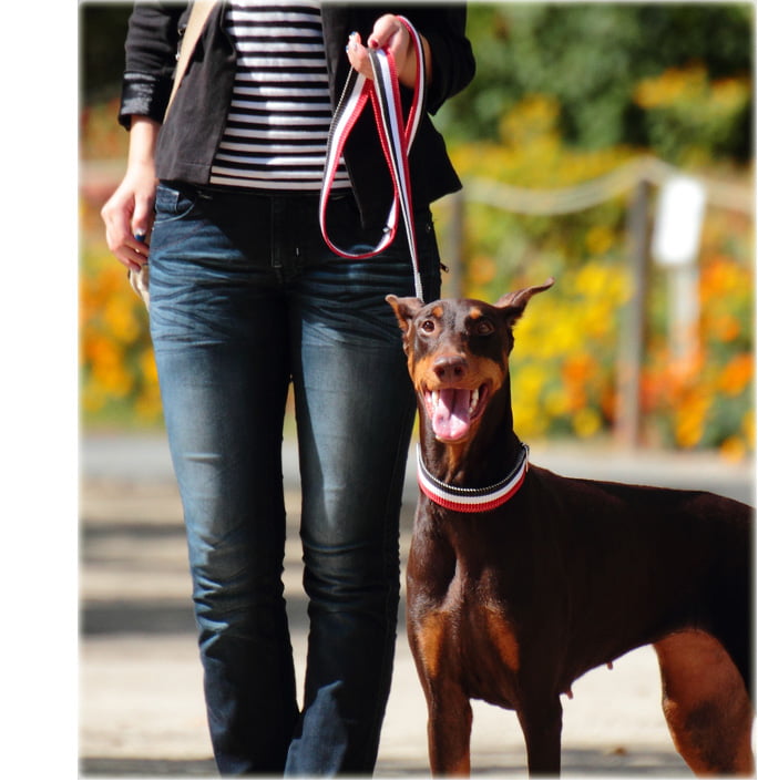 緿ѥ꡼ɡASHUȥꥳ롡꡼ɡL