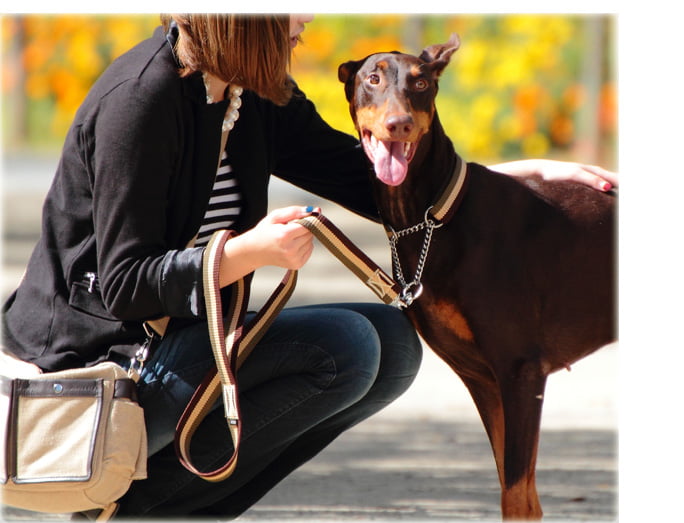 緿ѥ꡼ɡASHUȥꥳ롡꡼ɡL