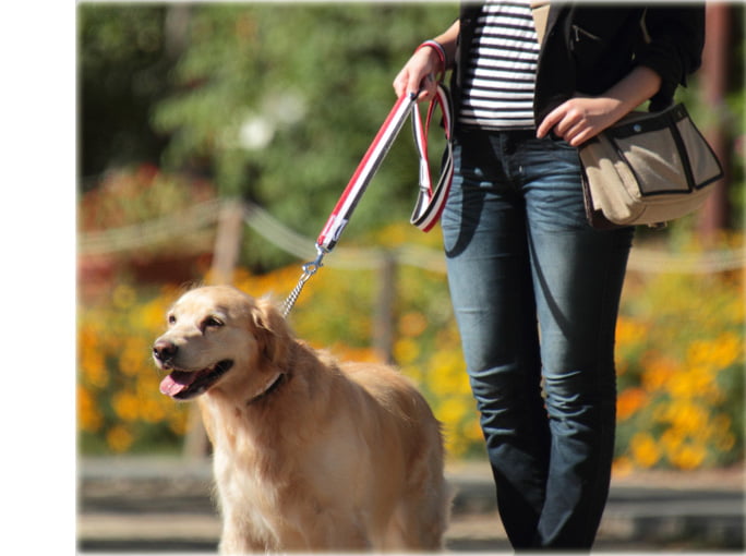 緿ѥ꡼ɡASHUȥꥳ롡꡼ɡL