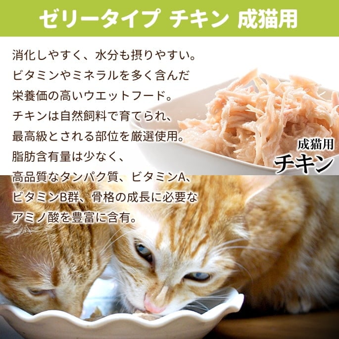 Schesir（シシア）/キャット ゼリータイプ チキンフィレ缶