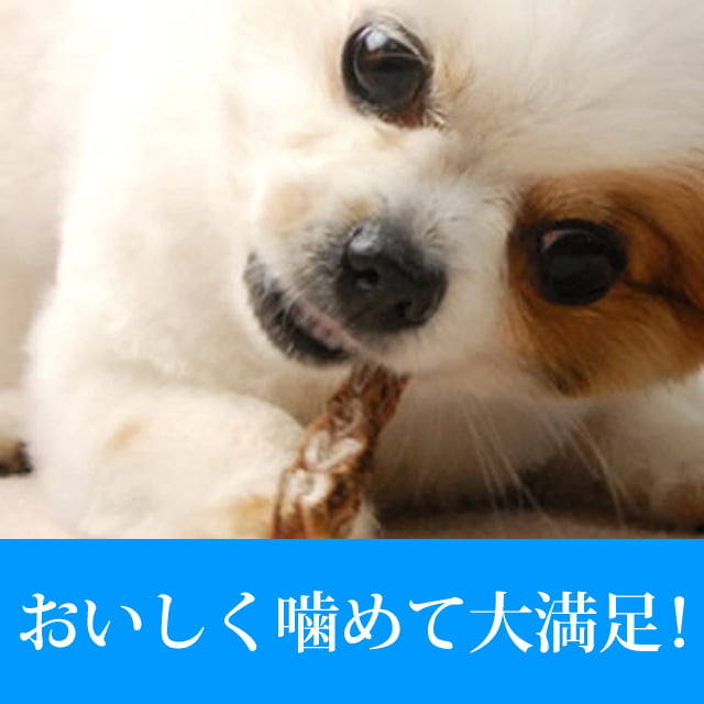 ���Ѥ���ġ�̵ź�óͤ줿�� �ڥåȤΤդ��Ҥ�50g��a0133��