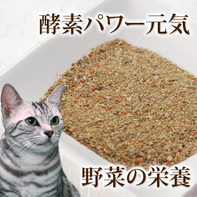 ǭ�� ��ڡù��ǥѥ������ȯ����ڥѥ������ʸ�ǭ�ѡ�