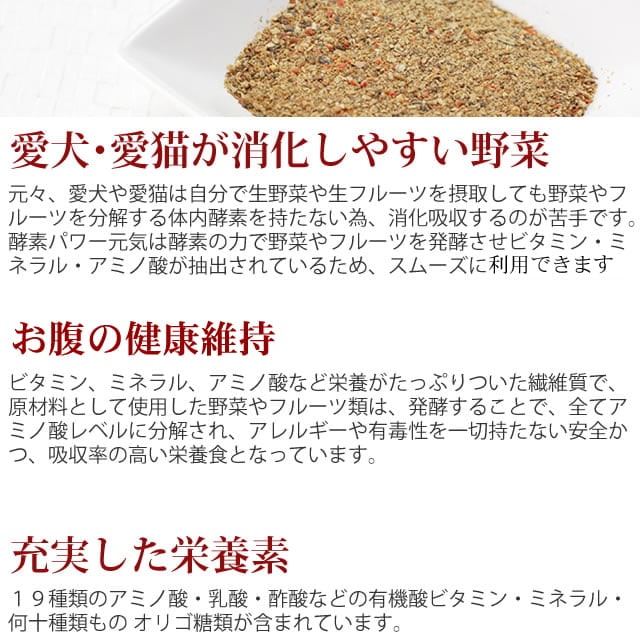 ǭ�� ��ڡù��ǥѥ������ȯ����ڥѥ������ʸ�ǭ�ѡ�