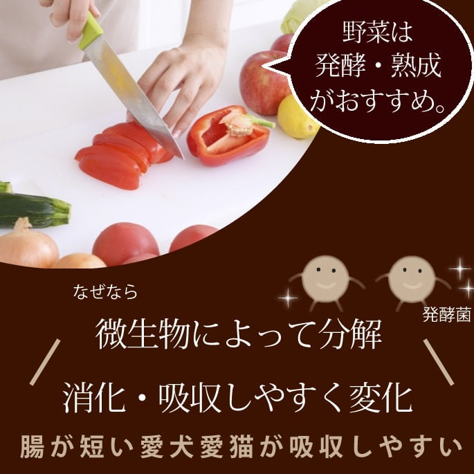 ǭ�� ��ڡù��ǥѥ������ȯ����ڥѥ������ʸ�ǭ�ѡ�