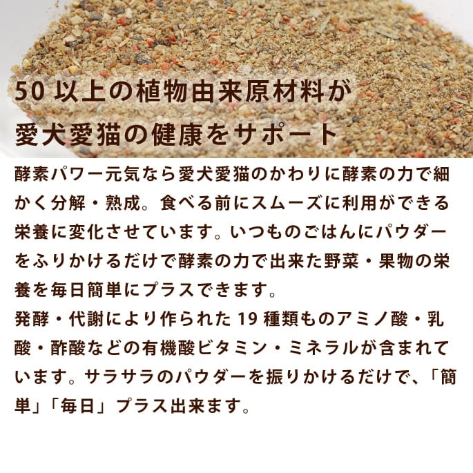 ǭ�� ��ڡù��ǥѥ������ȯ����ڥѥ������ʸ�ǭ�ѡ�