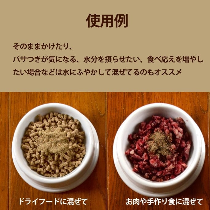 ǭ�� ��ڡù��ǥѥ������ȯ����ڥѥ������ʸ�ǭ�ѡ�