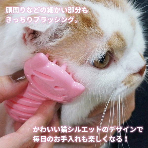 �ˤ��餫���롼�ޡ�