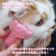 �ˤ��餫���롼�ޡ�