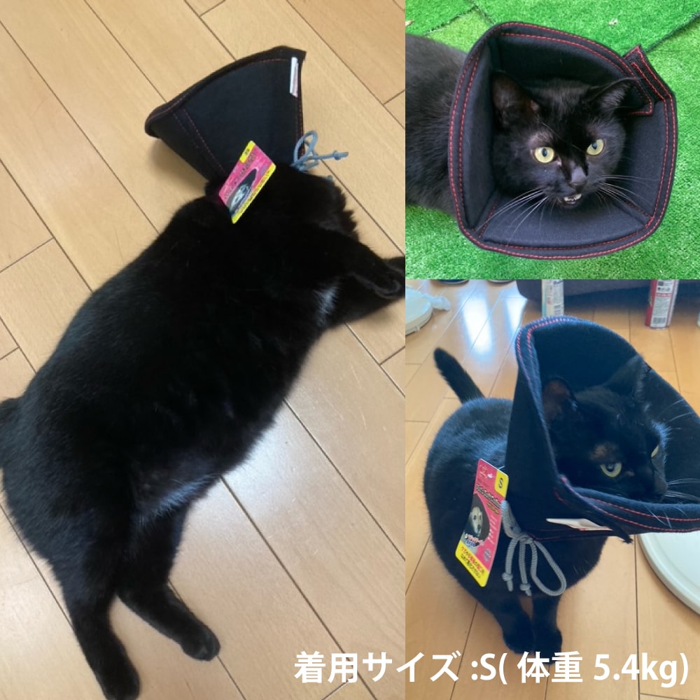 ꥶ٥顼եȥסʥ٥åĥեȥ顼ˡXS/S/M//L/XL/XXL 6Ÿ