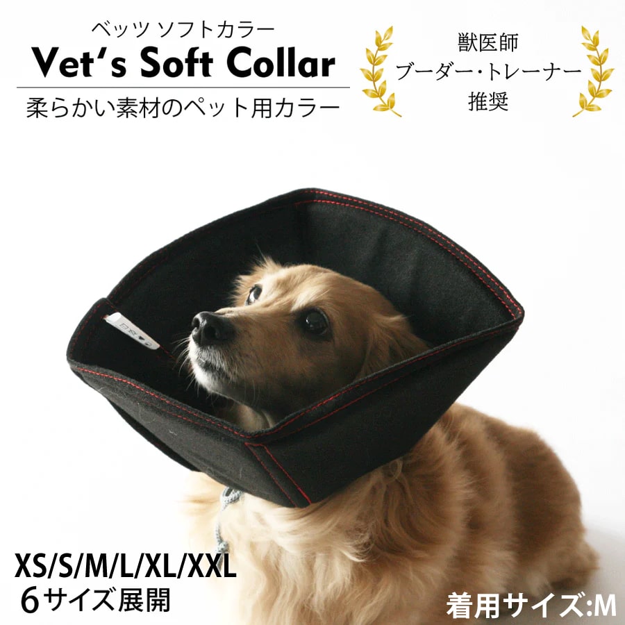 ꥶ٥顼եȥסʥ٥åĥեȥ顼ˡXS/S/M//L/XL/XXL 6Ÿ