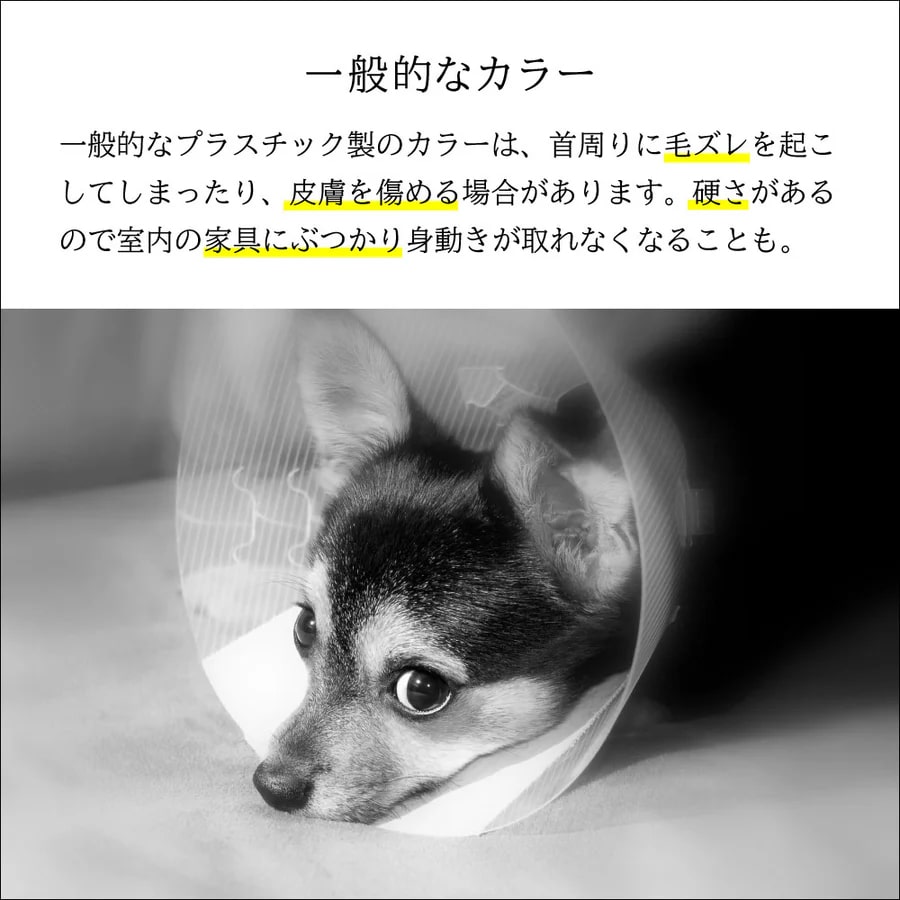 ꥶ٥顼եȥסʥ٥åĥեȥ顼ˡXS/S/M//L/XL/XXL 6Ÿ