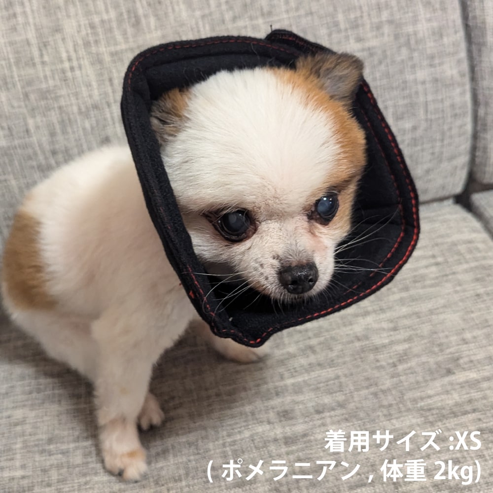 ꥶ٥顼եȥסʥ٥åĥեȥ顼ˡXS/S/M//L/XL/XXL 6Ÿ