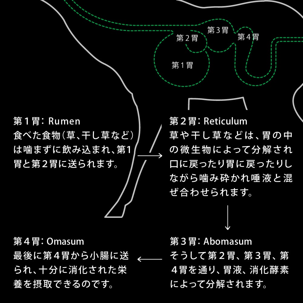 ���Ѥ���ġ��˥塼�ȥ饤�ס��ʥ����륨�����ɥ饤���ӡ���with���꡼��ȥ饤�� / ���with���꡼��ȥ饤�ס�100g NUTRIPE