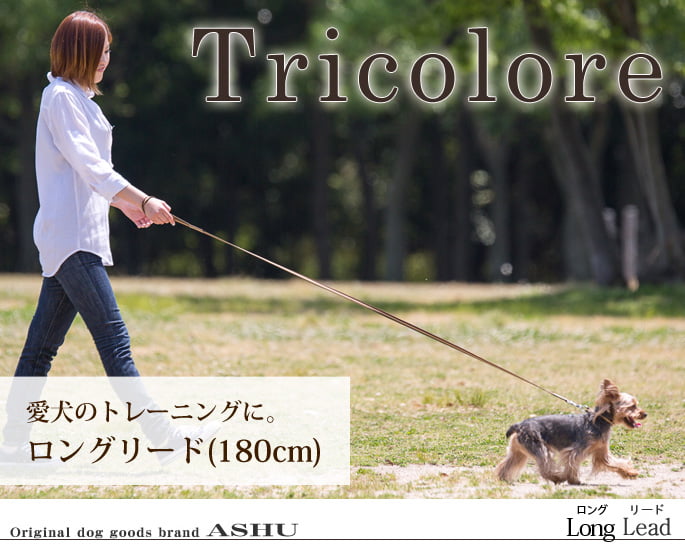 �������淿���ѥ꡼�ɡ�ASHU���ȥꥳ�����롡���󥰥꡼��