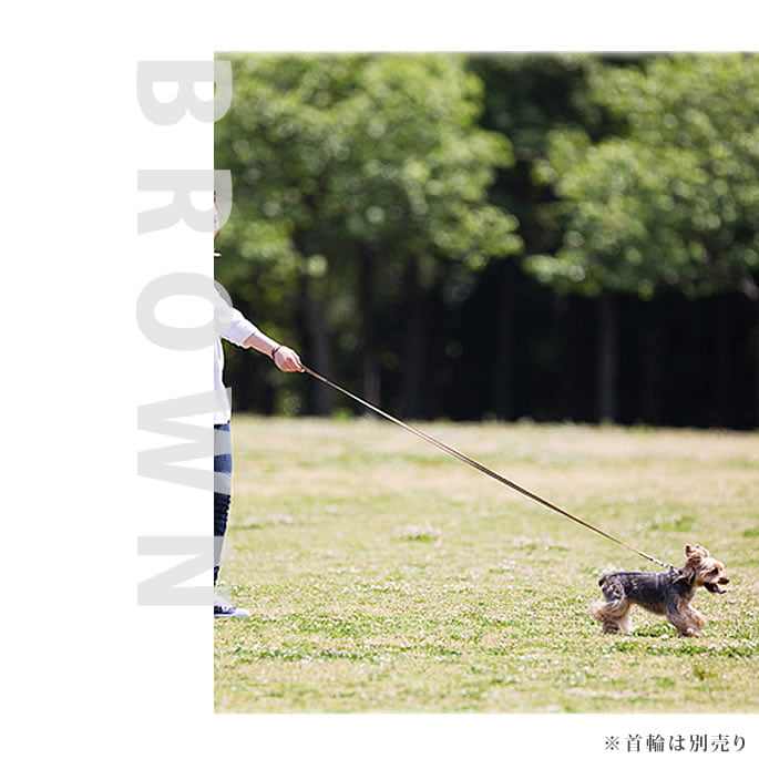 �������淿���ѥ꡼�ɡ�ASHU���ȥꥳ�����롡���󥰥꡼��