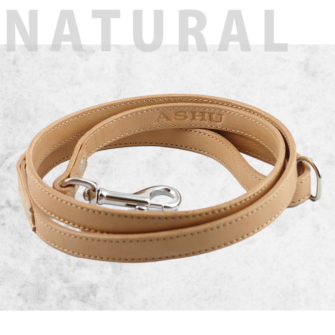 ѥ꡼ɡASHU֥Хå롡[꡼]