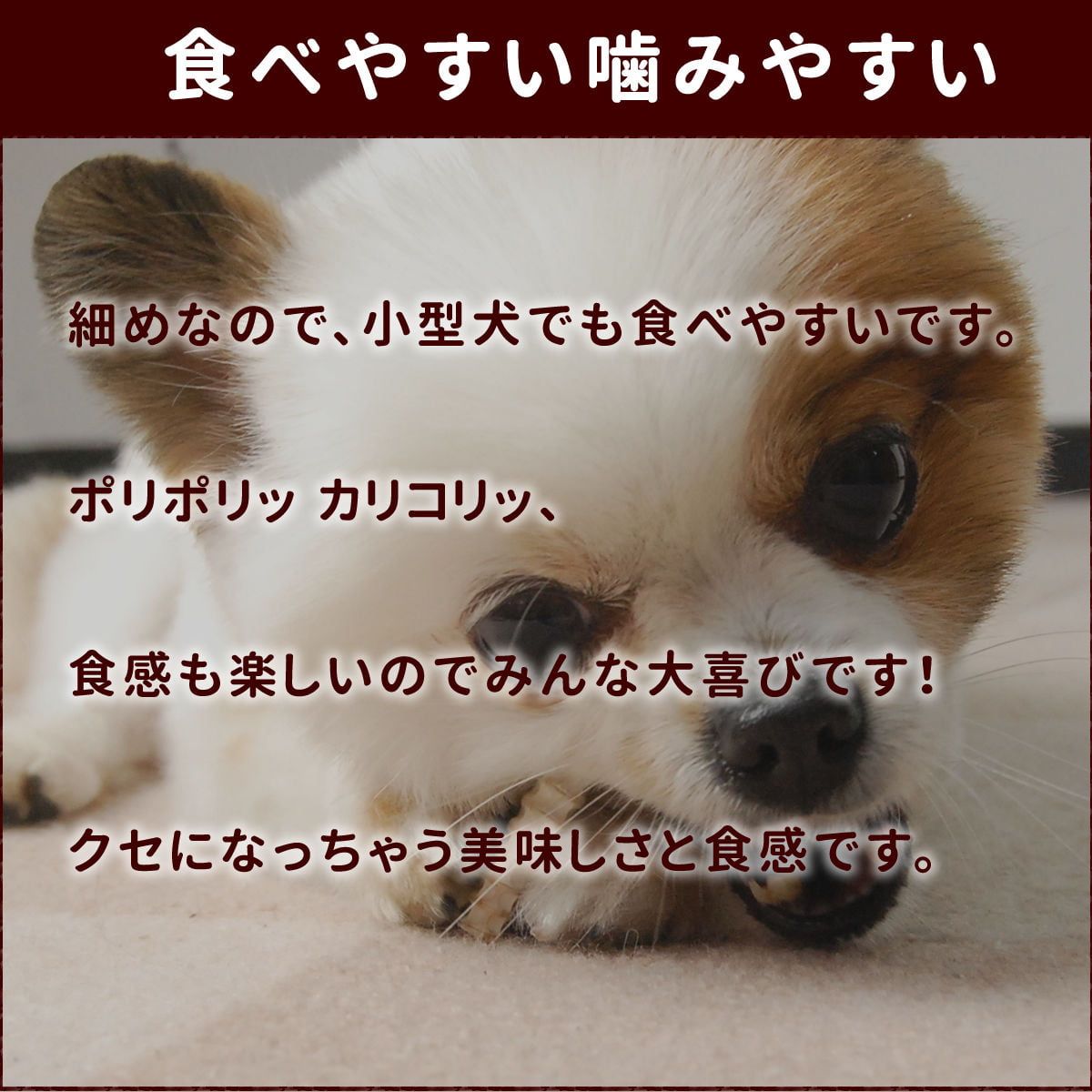 犬用おやつ 無添加獲れたて ヨシキリ鮫軟骨中骨40g ドックフードの通販 帝塚山ハウンドカム 犬用おやつ 無添加獲れたて ヨシキリ鮫軟骨中骨40g ドックフードの通販 帝塚山ハウンドカム