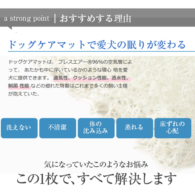 �ڥåȥ����ޥå�NEO��L��������| �����ѡ��ֲ����ӥ�