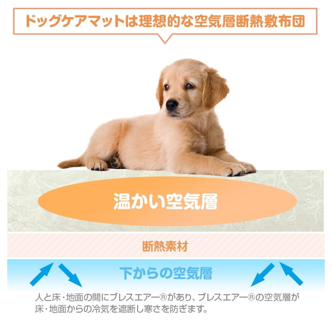 �ڥåȥ����ޥå�NEO��L��������| �����ѡ��ֲ����ӥ�