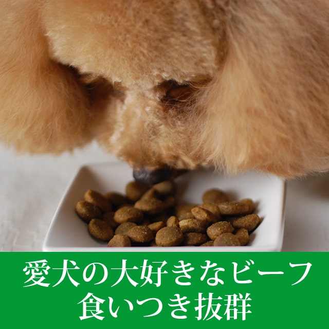 ������̵�������ޤ��աۥȥ饤�ץɥ饤���ɥå��ա��ɡ��ӡ��ա�11.34kg�����������Ǥ��ޤ���