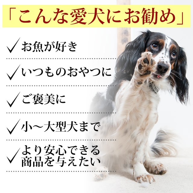 ���Ѥ���ġ�̵ź�óͤ줿�� �ޤ뤴�Ȥޤᤢ�� ���Τ���� �� 5�ޥ��å� ��