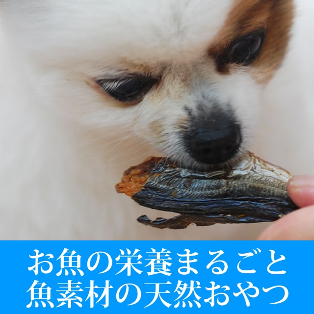 ���Ѥ���ġ�̵ź�óͤ줿�� �ޤ뤴�Ȥޤᤢ�� ���Τ���� �� 5�ޥ��å� ��