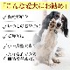 ���Ѥ���ġ�̵ź�óͤ줿�� �ޤ뤴�Ȥޤᤢ�� ���Τ���� �� 5�ޥ��å� ��