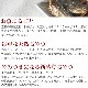 ���Ѥ���ġ�̵ź�óͤ줿�� �ޤ뤴�Ȥޤᤢ�� ���Τ���� �� 5�ޥ��å� ��