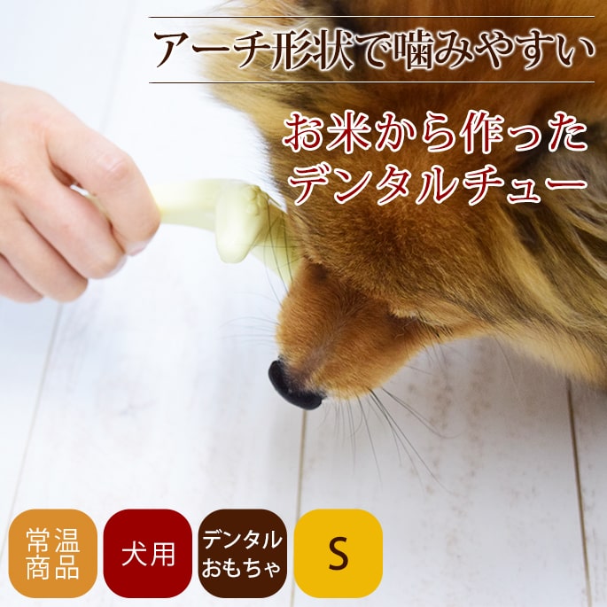 ������ �ǥ󥿥뤪����� ���Ƥ����ä��ǥ󥿥���塼 S��������Ķ��������������