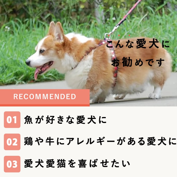 ��ǭ�ѡø�������ꤦ�ʤ����ƥ��å� 60g