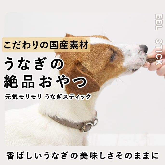 ��ǭ�ѡø�������ꤦ�ʤ����ƥ��å� 60g