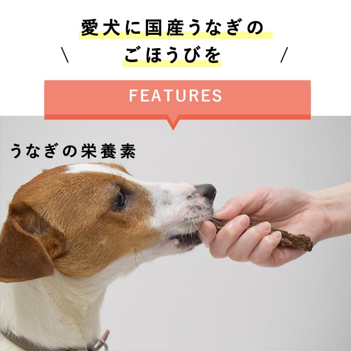 ��ǭ�ѡø�������ꤦ�ʤ����ƥ��å� 60g