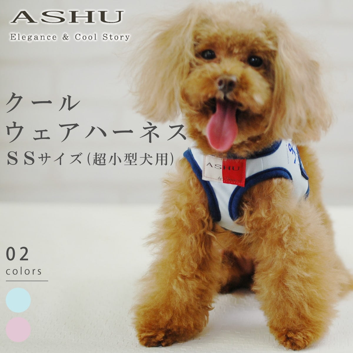 ���ѥϡ��ͥ���Ķ��������ASHU��������󥰥������ϡ��ͥ���SS�������ڥ꡼�ɤ�������