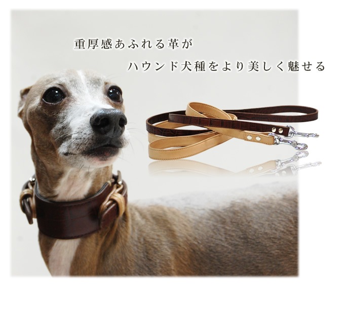 緿ѥ꡼ɡASHU֥Хå롡[꡼]M