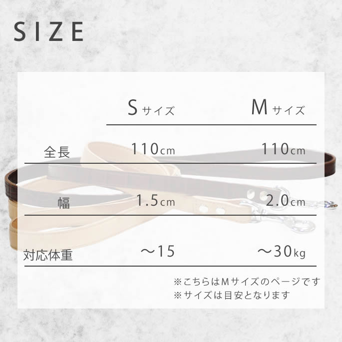 緿ѥ꡼ɡASHU֥Хå롡[꡼]M