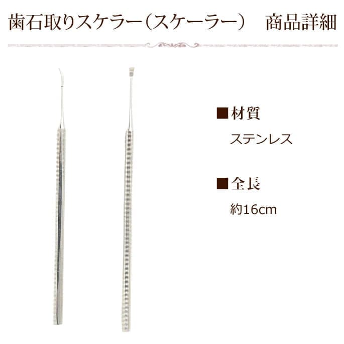 帝塚山ハウンドカム歯石取りペンチ&スケーラーセット 帝塚山ハウンドカム 愛犬・愛猫用歯石取りペンチとスケーラー