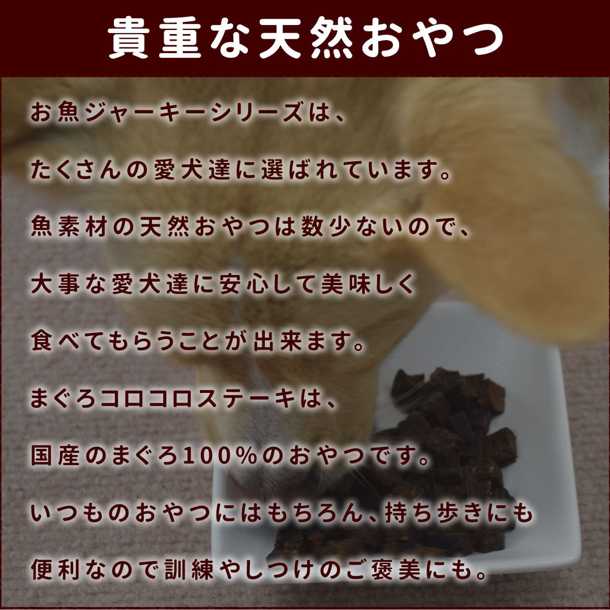 ����ǭ�Ѥ���ġ�̵ź�óͤ줿�� �ޤ��������������ơ��������Τ���� �� 5�ޥ��å� �� ��������ǭ����̵ź�ä����