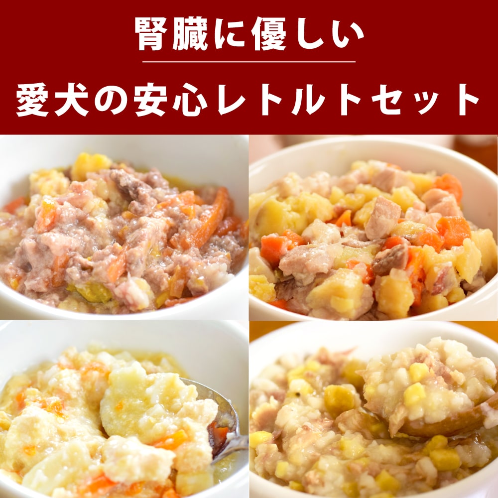 Ū̥꡼۰ ¡ͥ¿ȥȥåȡ100g4/100g28ޥåȡ