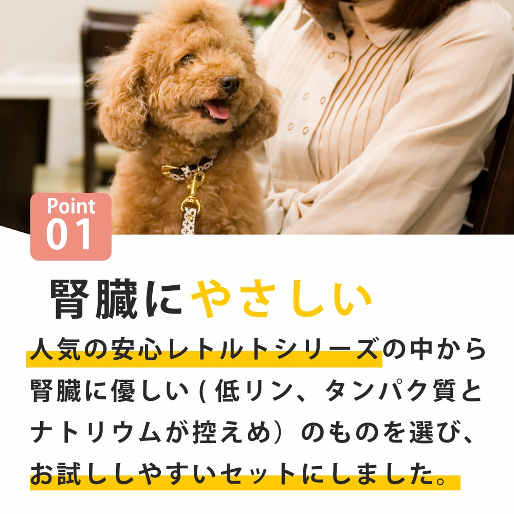 Ū̥꡼۰ ¡ͥ¿ȥȥåȡ100g4/100g28ޥåȡ