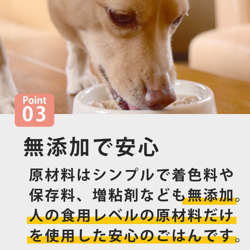 Ū̥꡼۰ ¡ͥ¿ȥȥåȡ100g4/100g28ޥåȡ