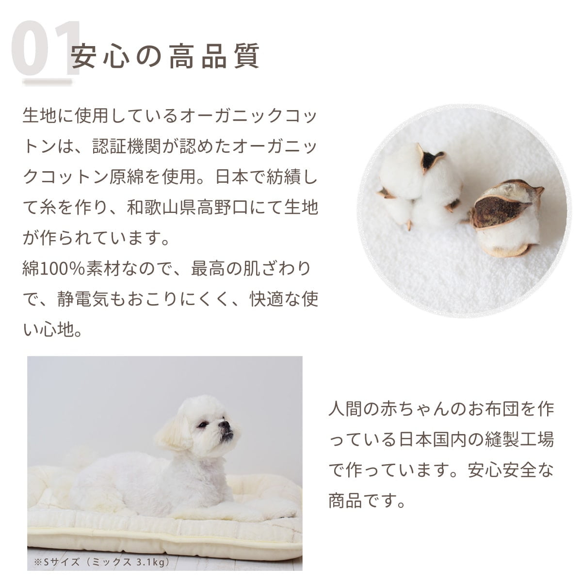 ڰǭѡۥ뿥ꥦɥڥ 2ؼץߥ०å֥ޥå S/M